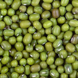 Monggo Beans
