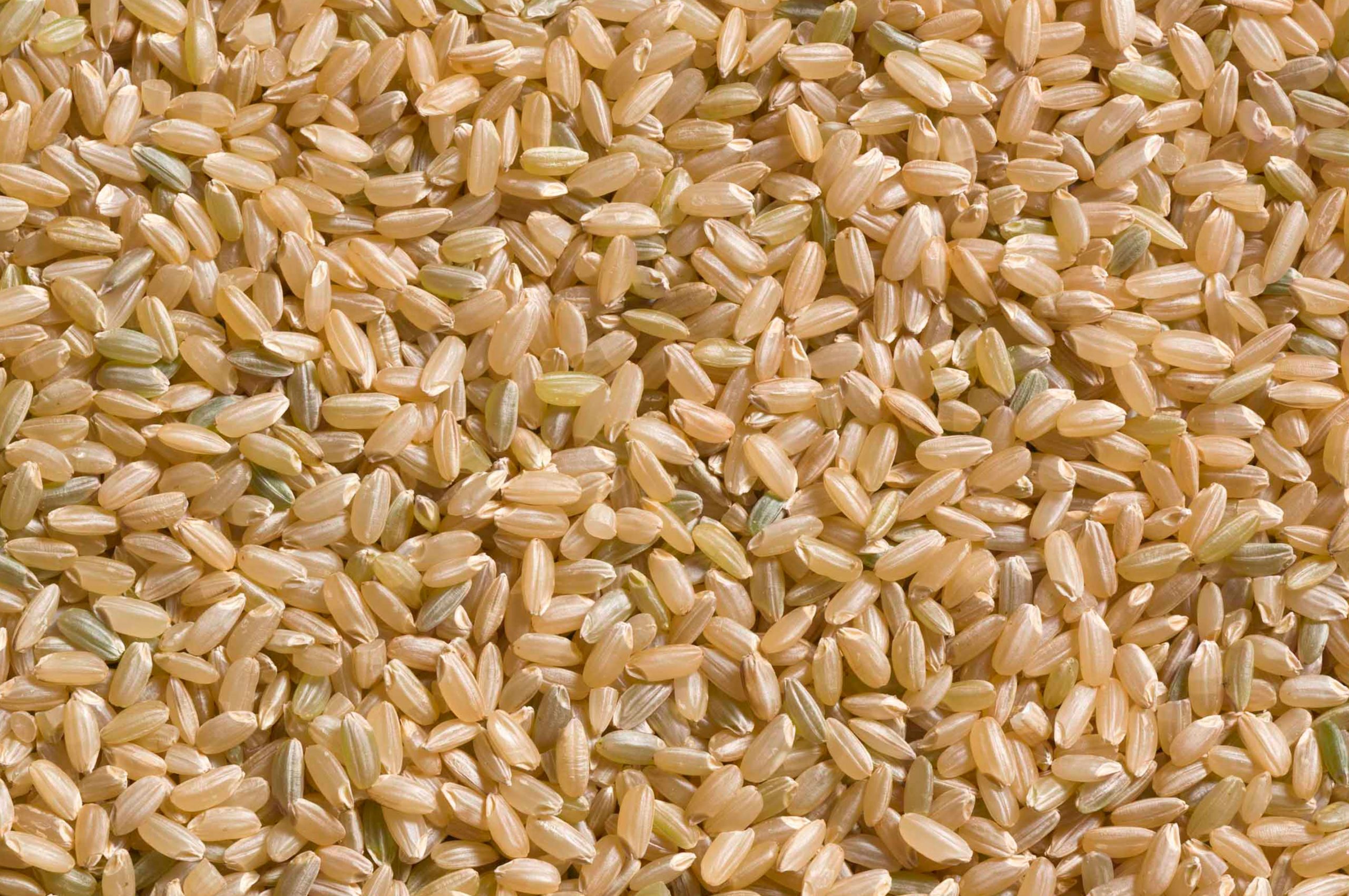 dehulled-brown-rice-uproot-ph